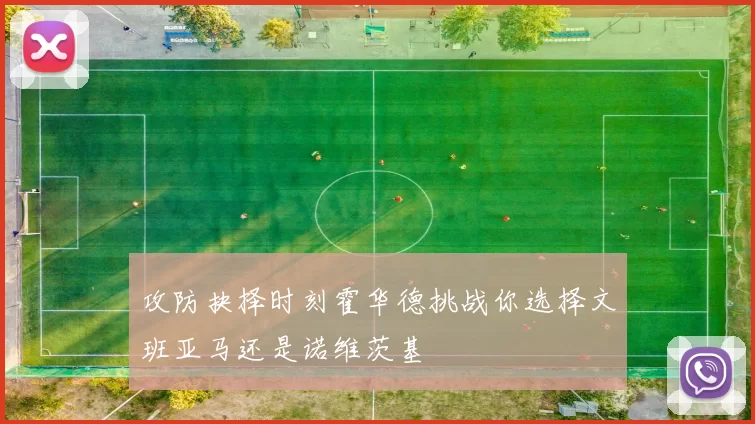 攻防抉择时刻霍华德挑战你选择文班亚马还是诺维茨基
